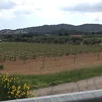 海滨松林spa酒店