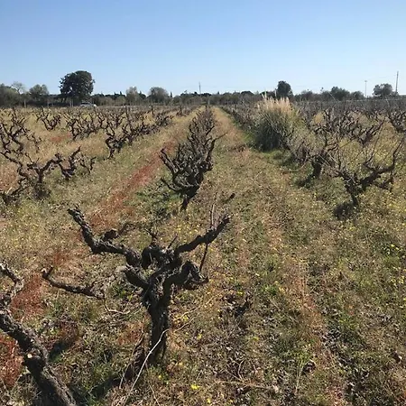 فندق Pinar Del Mar بلاتجا ذارو