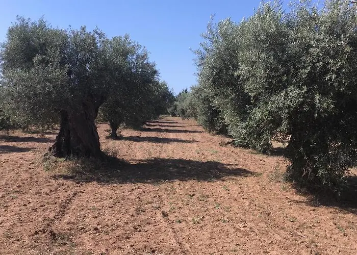 Pinar Del Mar فندق