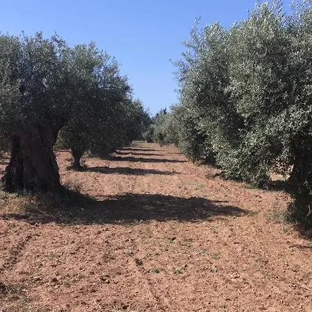 Pinar Del Mar Szálloda