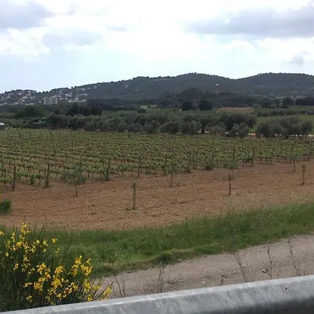 Pinar Del Mar
